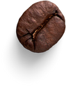 Isolated Cutout PNG